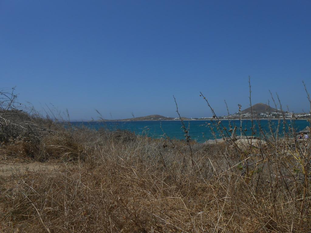O Fotis Lejlighedshotel Agios Prokopios  Eksteriør billede